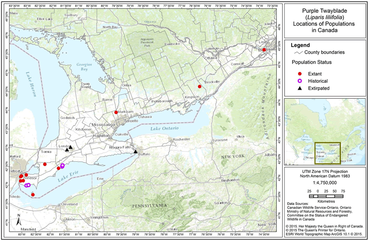 Map: Distribution of Purple Twayblade in southern Ontario and Quebec
