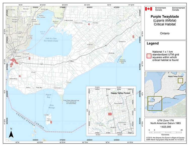 Map: Critical habitat for the Purple Twayblade in Ontario
