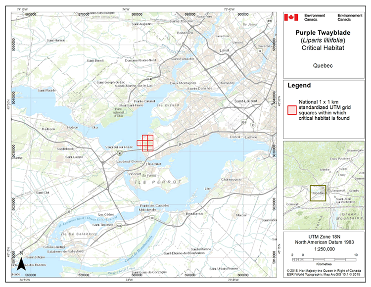 Map: Critical habitat for the Purple Twayblade in southern Quebe