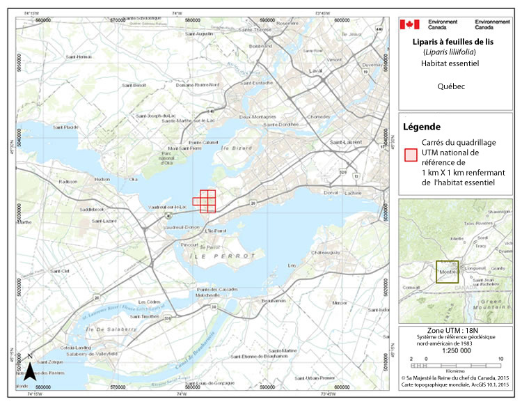 une carte présentant les carrés du quadrillage normalisé de 1 km × 1 km qui renferment l'habitat essentiel du liparis à feuilles de lis dans le sud du Québec, près de Montréal.