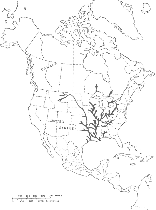 Figure 2. Global distribution of the paddlefish. Modified from Parker (1988).. ·former Canadian distribution¾ current U.S. distribution