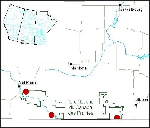 Figure 1.  Aire de répartition du mormon (Apodemia mormo), population des Prairies, au Canada (Environnement Canada).