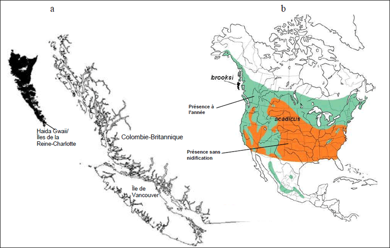 Figure 1. Répartition de la Petite Nyctale à Haida Gwaii.(Voir description longue ci-dessous.)