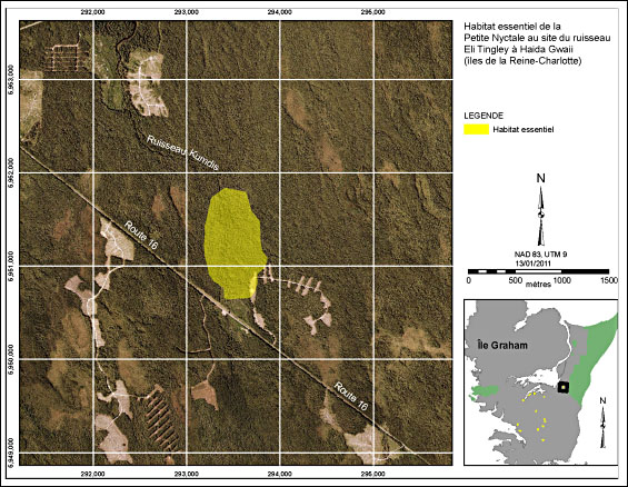 Figure 2. Habitat essentiel de la Petite Nyctale au site du ruisseau Eli Tingley à Haida Gwaii (îles de la Reine-Charlotte). (Voir description longue ci-dessous.)