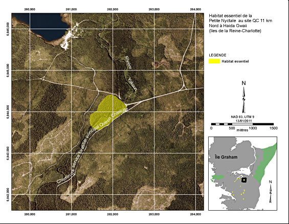 Figure 4. Habitat essentiel de la Petite Nyctale au site QC11 km Nord à Haida Gwaii (îles de la Reine-Charlotte). (Voir description longue ci-dessous.)