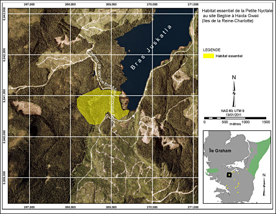 Figure 5. Habitat essentiel de la Petite Nyctale au site Begbie à Haida Gwaii (îles de la Reine-Charlotte). (Voir description longue ci-dessous.)