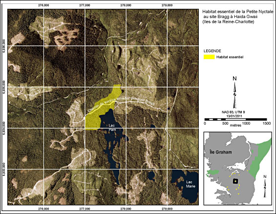 Figure 6. Habitat essentiel de la Petite Nyctale au site Bragg à Haida Gwaii (îles de la Reine-Charlotte). (Voir description longue ci-dessous.)