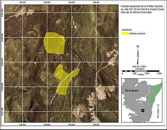 Figure 7. Habitat essentiel de la Petite Nyctale au site QC 33 km Nord à Haida Gwaii (îles de la Reine-Charlotte). (Voir description longue ci-dessous.)