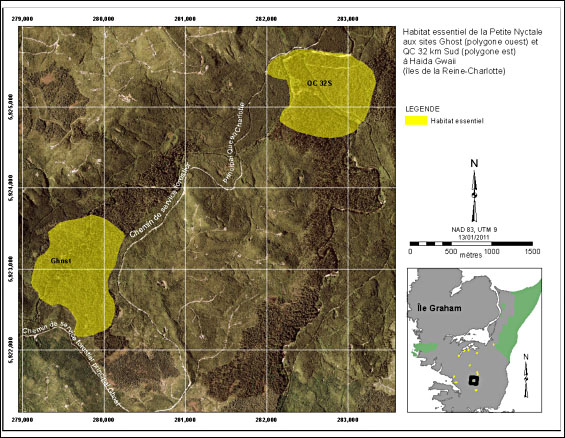 Figure 8. Habitat essentiel de la Petite Nyctale aux sites Ghost (polygone ouest) et QC 32 km Sud (polygone est) à Haida Gwaii (îles de la Reine-Charlotte). (Voir description longue ci-dessous.)