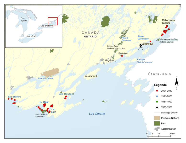 Figure 3b. Aire de répartition du méné camus dans le sud-est de l’Ontario. (Voir description longue ci-dessous.)