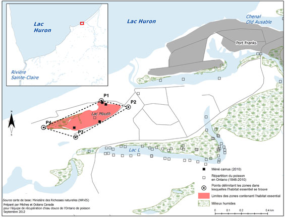 Figure 6. Zone dans laquelle se trouve l’habitat essentiel du méné camus dans le lac Mouth (Voir description longue ci-dessous.)