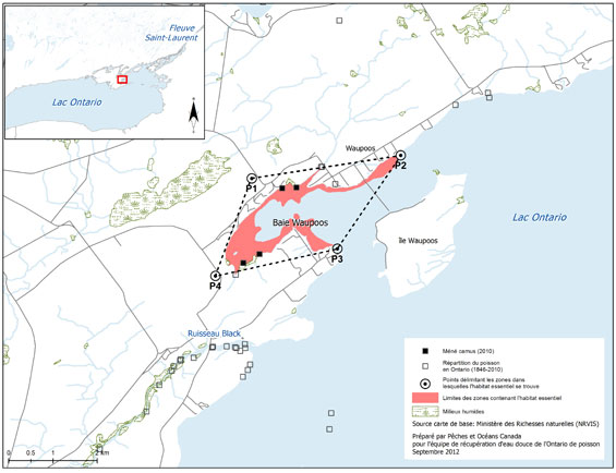 Figure 12. Zone dans laquelle se trouve l’habitat essentiel du méné camus dans la baie Waupoos (Voir description longue ci-dessous.)