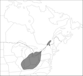 Figure 2. Global Eastern Sand Darter distribution in North America. (See long description below)