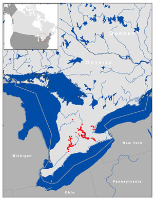 distribution of Silver Shiner in Canada
