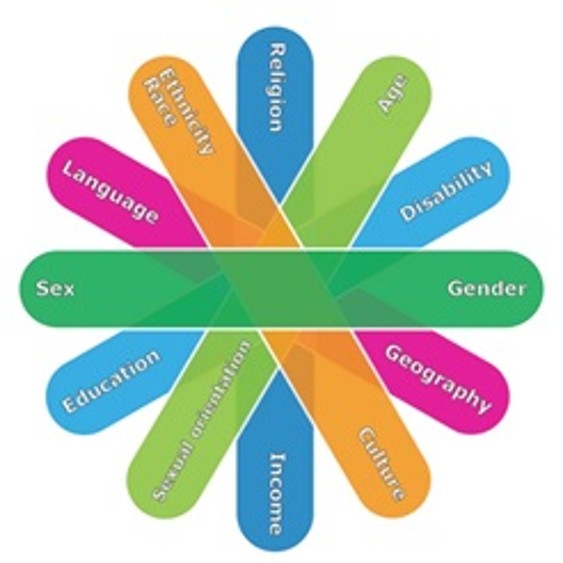 A multicoloured graphic illustrating some of the identity factors considered in GBA Plus. Text version follows below
