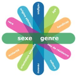 image illustrant certains des facteurs identitaires pris en considération dans l’ACS&nbsp;Plus. Version textuelle suit dessous.