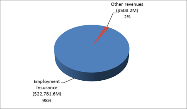 Figure 6: Revenues by type