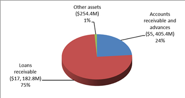 Figure 7:Assets by Type