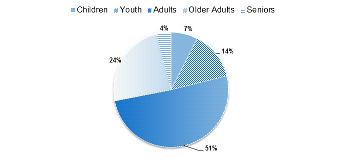 Pie chart depicting the ratio of children, youth, adults, older adult, and senior chronic and episodic shelter users.