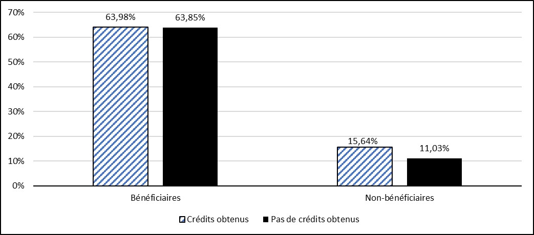 Figure 10 : la description suit