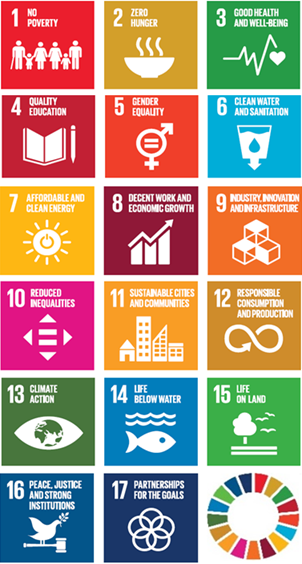 Figure 2 of United Nations 17 SDG icons and the SDG logo: description follows