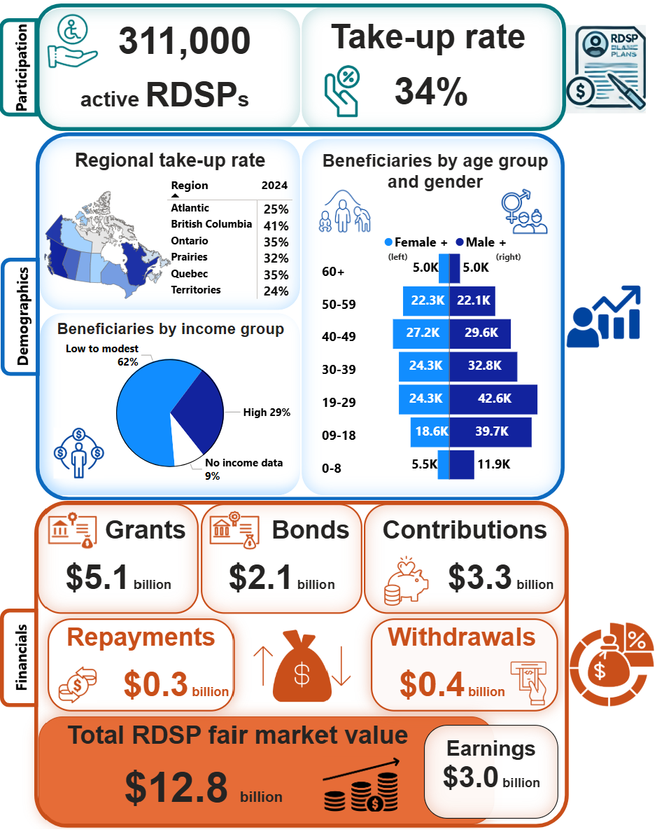 CDSP at a glance: statistics summary as of December 31, 2024. Text version follows.
