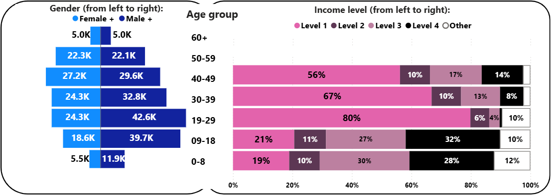 Distribution of beneficiaries in 2024 by age, gender, and income. Text version follows.