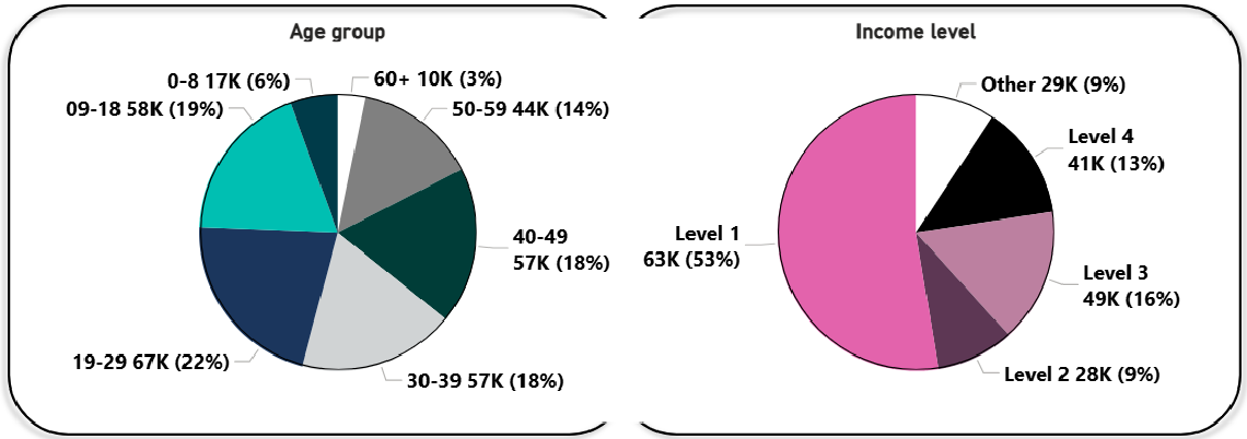 The breakdown of RDSP beneficiaries by age group and income level of 2024. Text version follows.