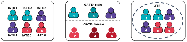 Figure 1: Levels of aggregation for effects produced with Modified Causal Forest - Text description follows