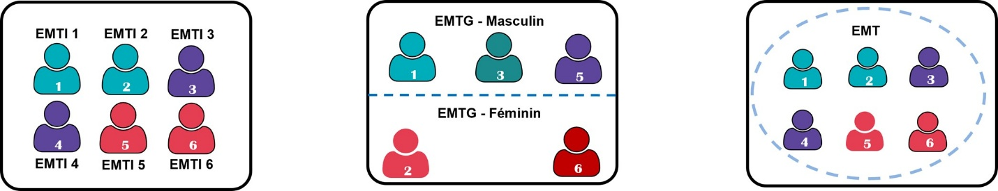 Figure 1&nbsp;: Niveaux d’agrégation des effets produits avec les FCM  - Description textuelle suit