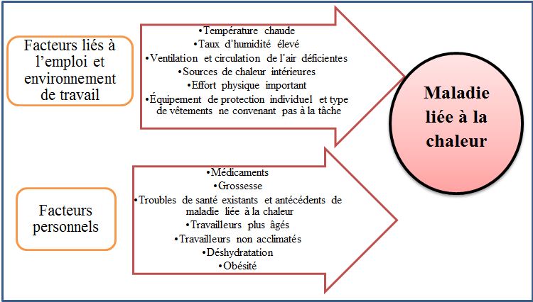 Diagramme 1 : Facteurs de risque liés au stress dû à la chaleur