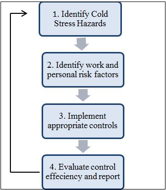 Figure 4: General risk management process
