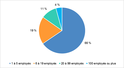 Figure 4 : Distribution des employeurs du SPRF selon la taille de l'entreprise, 2015