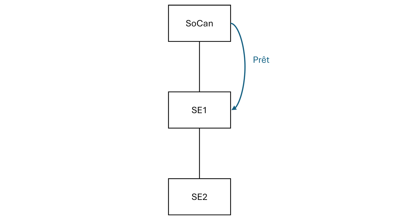 Figure 2: Sociétés étrangères affiliées à paliers multiples