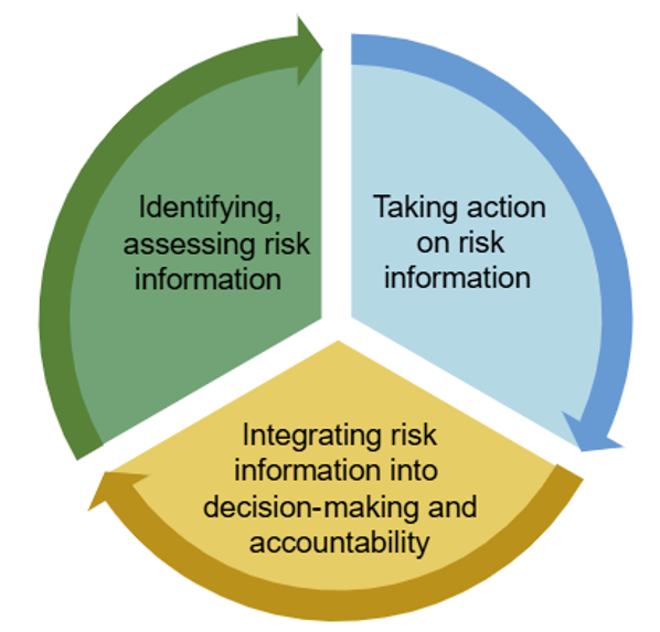 Illustration of cyclical steps of risk management