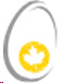 A logo shapped like an egg with a yellow disc like a yolk with a maple leaf in the centre