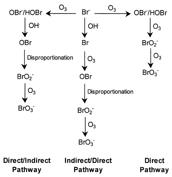 A graphic representation showing the three main bromate formation pathways.