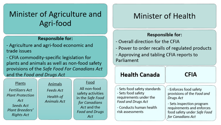 Division of responsibilities between Ministers