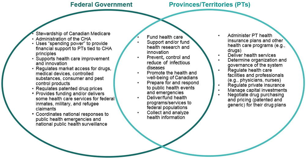 Summary of the roles and responsibilities of Federal, Provincial and Territorial governments, including the areas of overlap