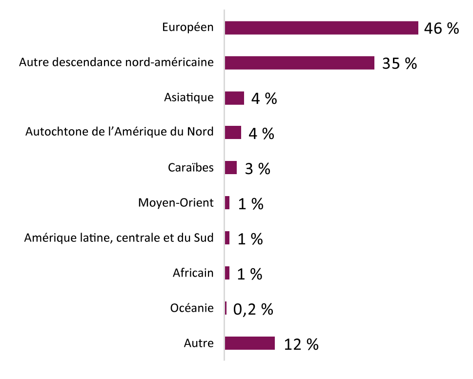 Ce graphique montre le pourcentage de participants à la consultation qui s'auto-identifient comme faisant partie de divers groupes ethniques ou culturels.