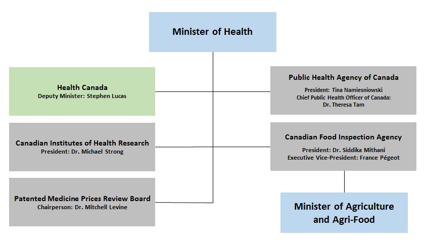 Health Portfolio Organizational Chart