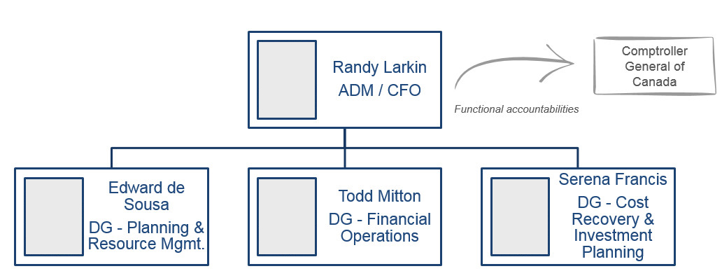 Organizational structure of the Chief Financial Officer Branch