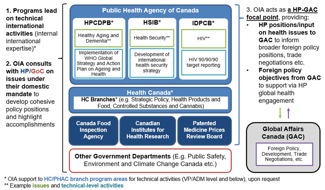 Overview of the Health Portfolio and Government of Canada's roles in global health including Health Portfolio and Government departments that collectively contribute to the Federal Government's role in global health, including examples of issues and technical-level activities.