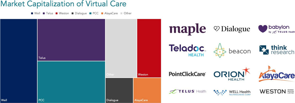 Figure 5: Virtual care companies' market capitalization is  approximately $10B, and is claimed by large, established companies and smaller  growth companies