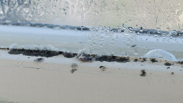 Stop mould in its tracks!