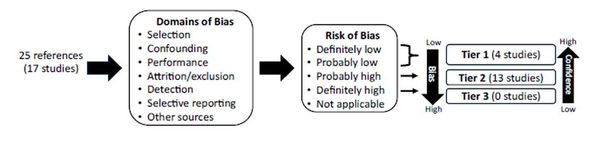 Figure 1: Assessment of Confidence