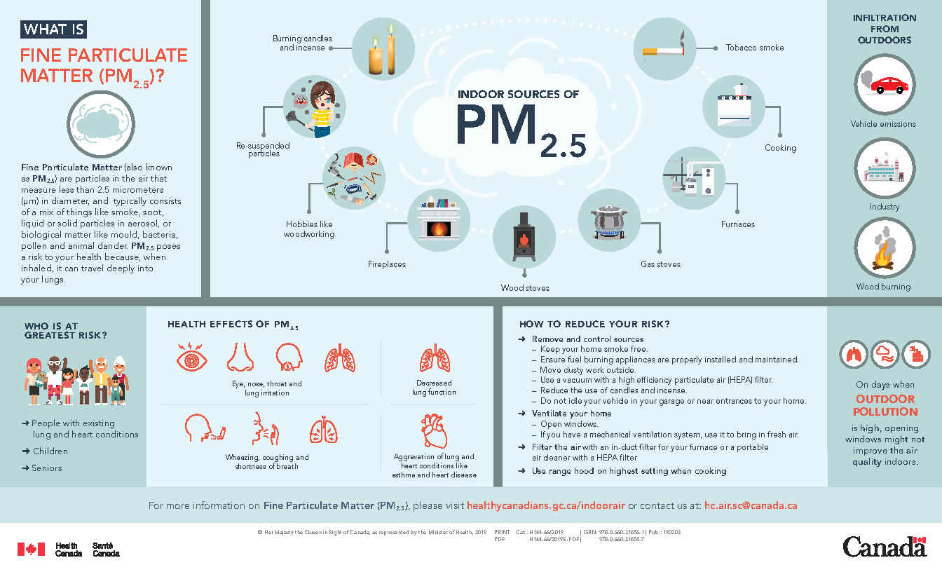 What is fine particulate matter (PM 2.5)?