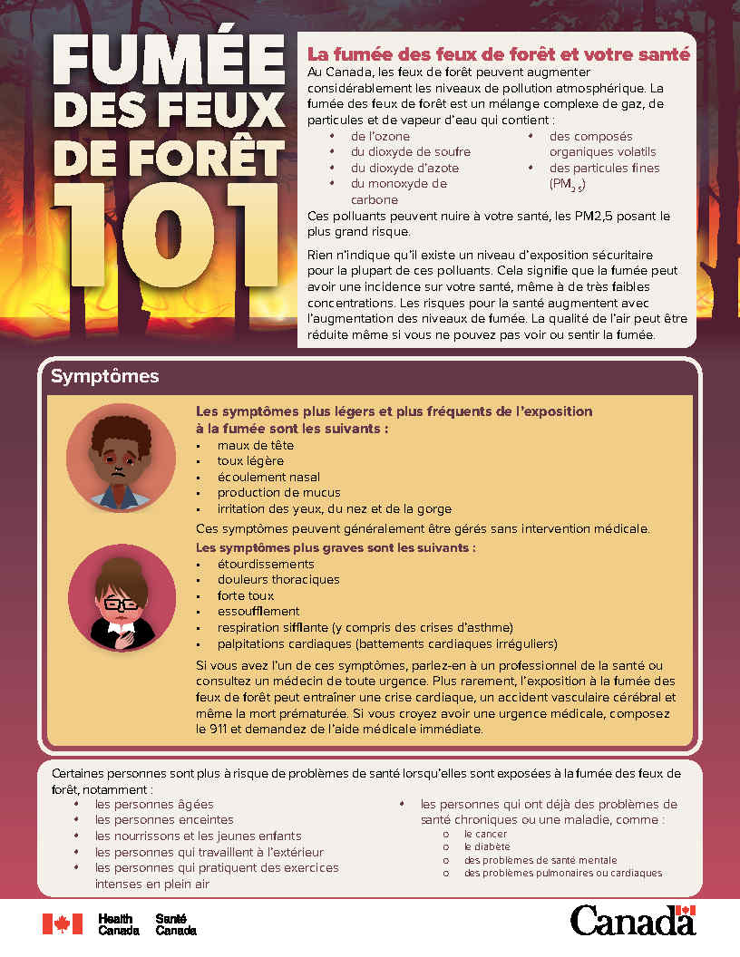 Fumée de feux de forêt 101 : La fumée des feux et votre santé