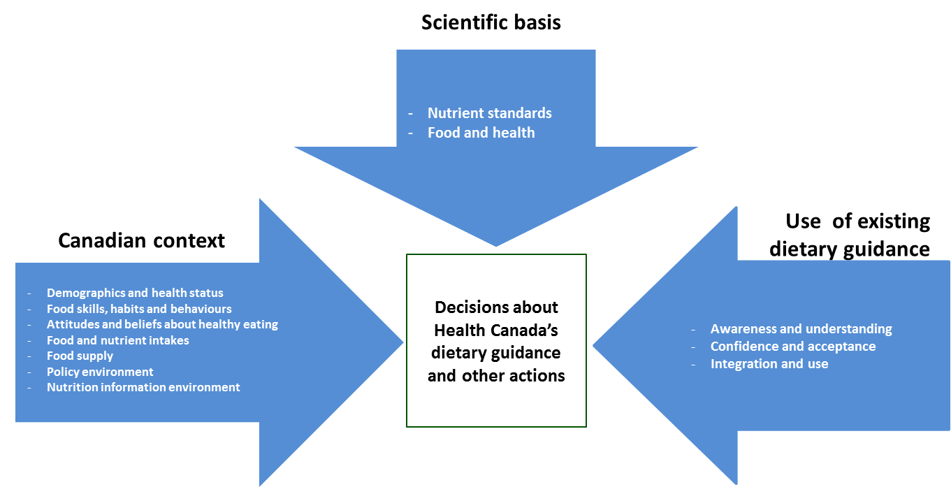 Figure 1: Key input areas to inform decisions about dietary guidance. Text description follows.