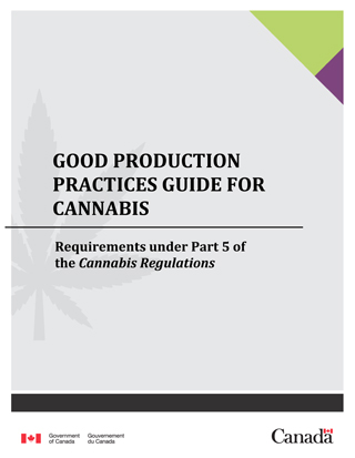 A Guide to Cannabis Quantities